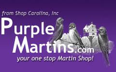 purple-martins.com